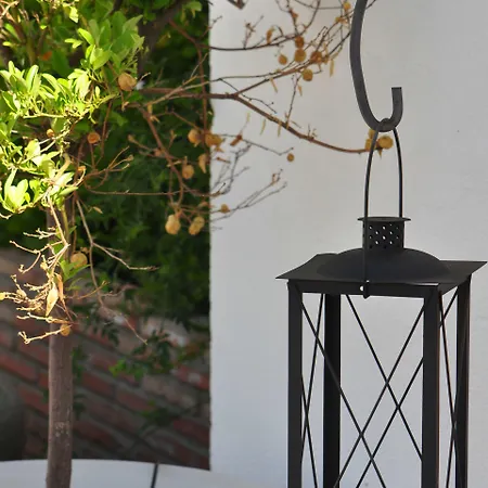 فندق أوازيس 2*