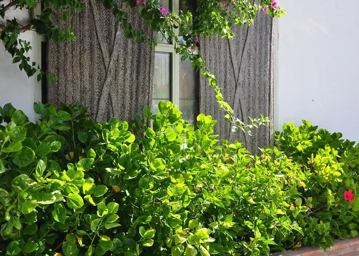 오아시스 호텔 코르도바