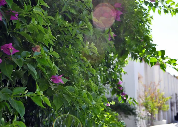 호텔 오아시스 2*