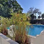 Oasis