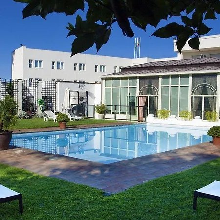 Oasis