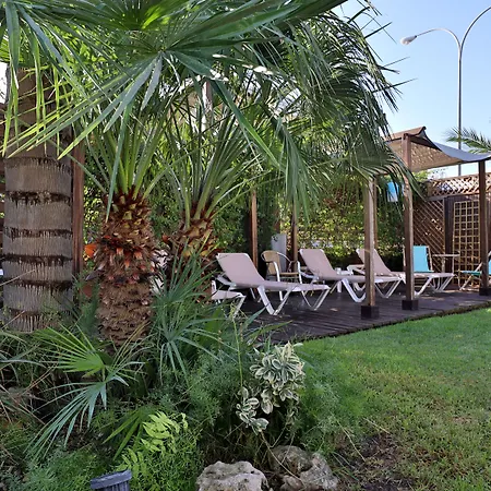 Oasis 2*