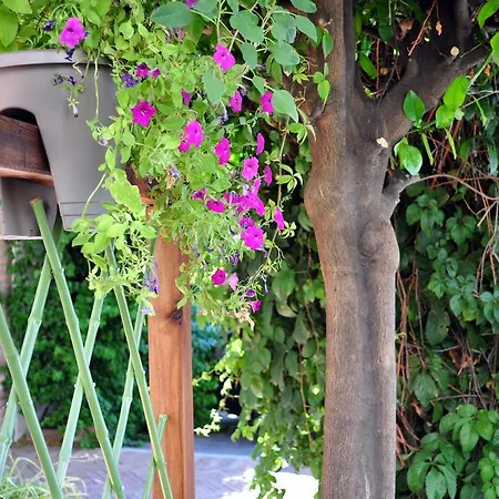 オアシス 2* コルドバ