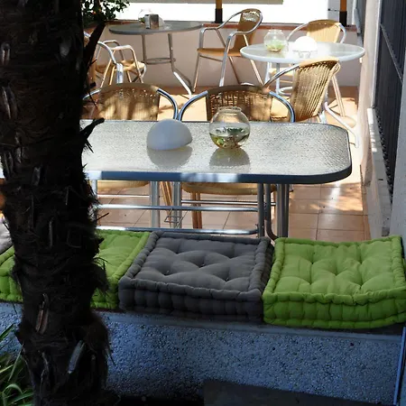 Oasis 2*