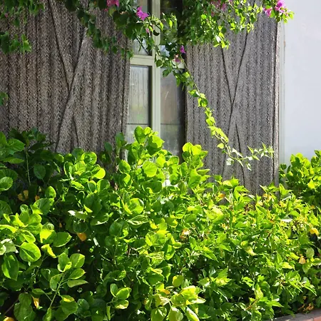 Oasis Hotel Córdoba