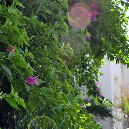 ホテル オアシス 2*