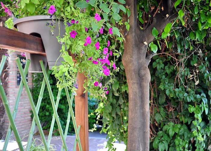 Oasis 2* Кордова