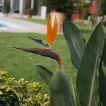 Oasis Hotel